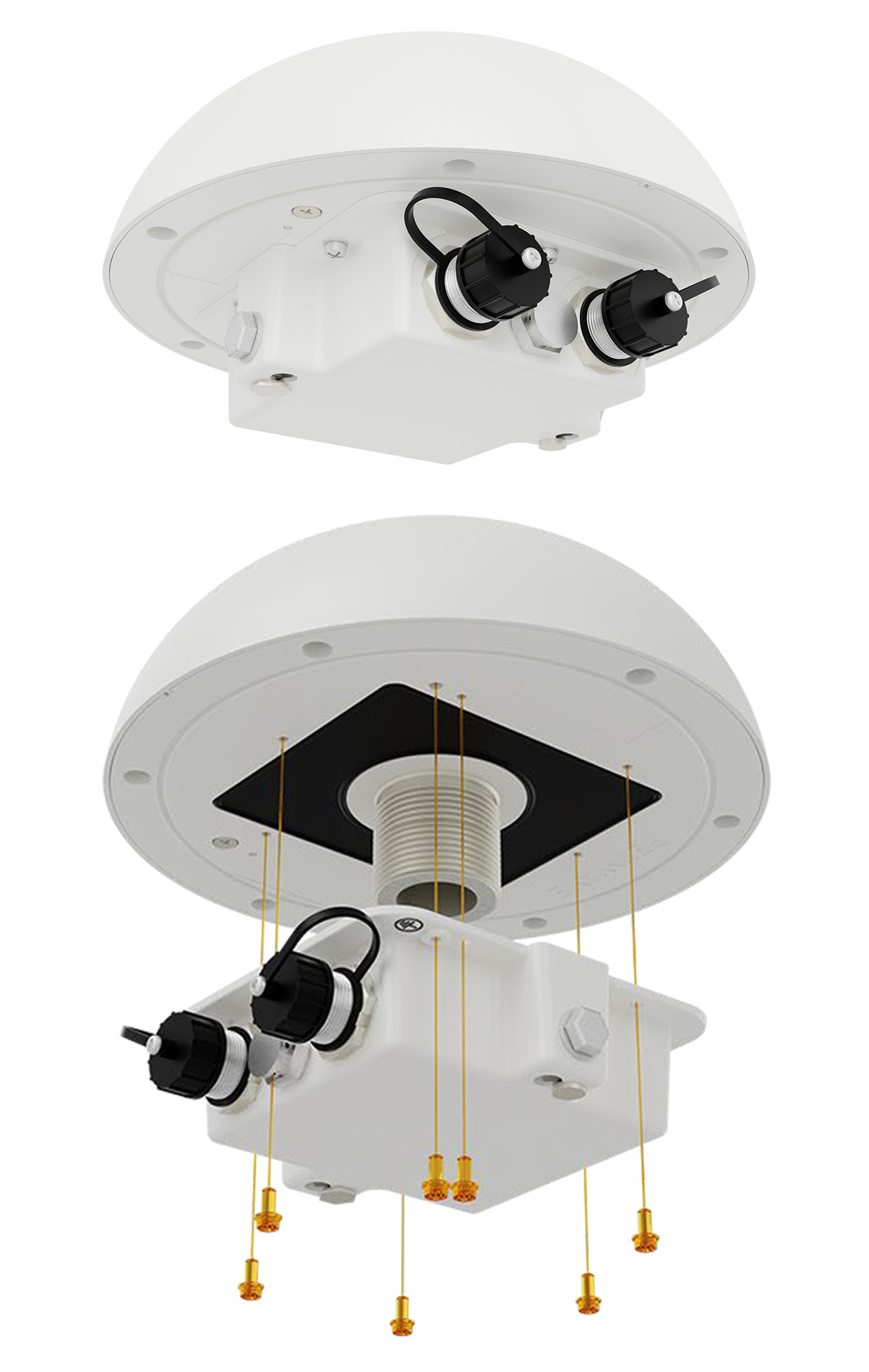 Max HD1 DOME IP67 (EssentialCare) & SIM Injectors